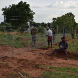 SOLAR FENCING