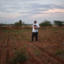 NATIVE SEEDS