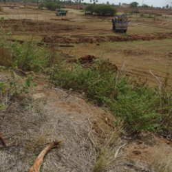 Renovation of Pond - work on process