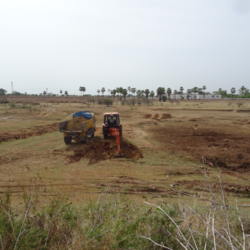 Renovation of Pond - work on process