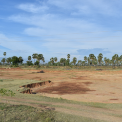 Renovation of Pond - work on process