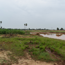 Renovation of Pond - work on process