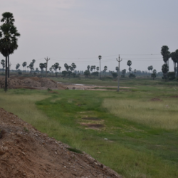 Renovation of Pond - work on process