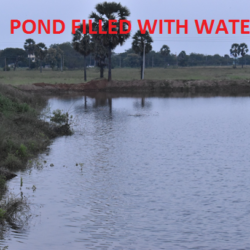 Pond filled with water